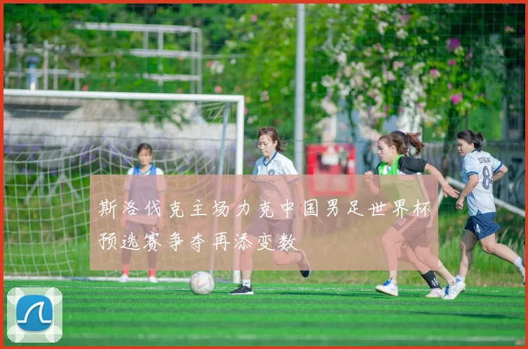 斯洛伐克主场力克中国男足世界杯预选赛争夺再添变数
