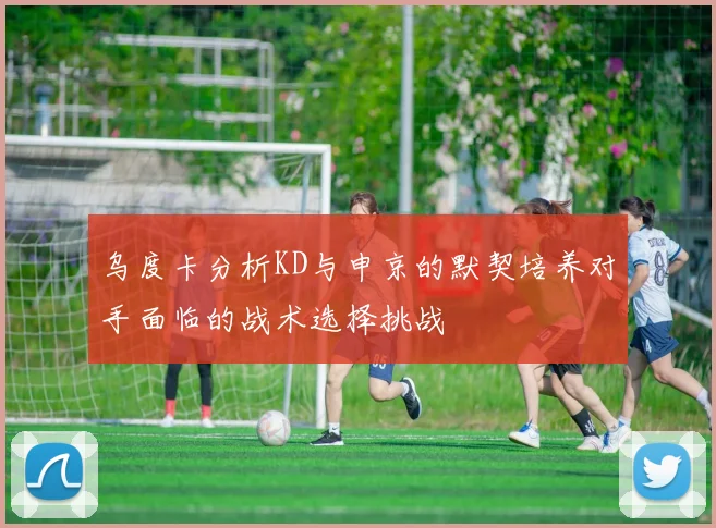 乌度卡分析KD与申京的默契培养对手面临的战术选择挑战